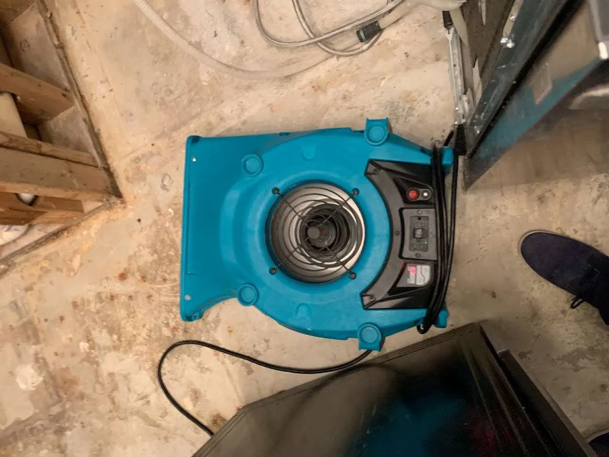 Air mover drying equipment for Mold Remediation & Removal in Albuquerque